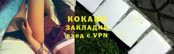 дживик Белокуриха