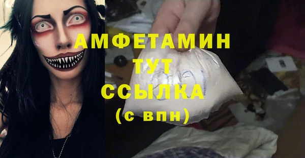 дживик Белокуриха