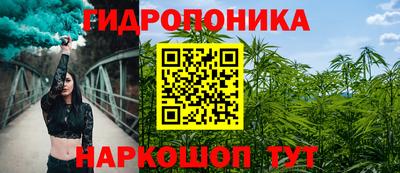 стафф Донецк