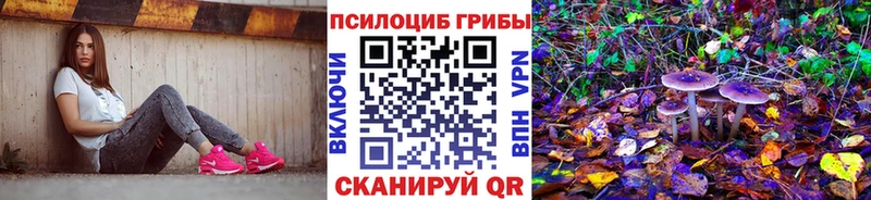 как найти Луховицы Псилоцибиновые грибы ЛСД