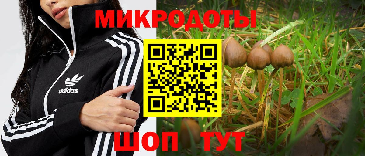 Луховицы  Галлюциногенные грибы GOLDEN TEACHER  как найти закладки  Псилоцибиновые грибы прущие грибы  Вход с VPN 